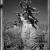 ®Elaine Ling - Baobab, tree of generation 03